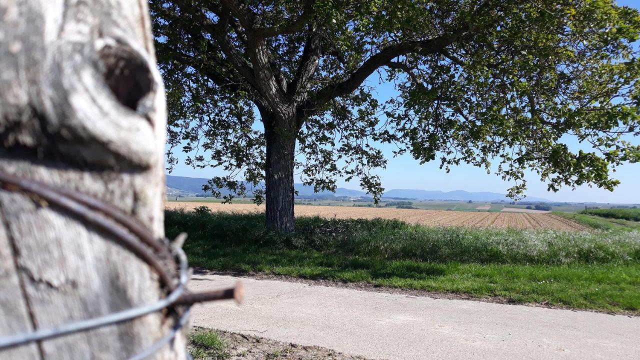 Die Gefaehrten Oberhausen  Eksteriør bilde