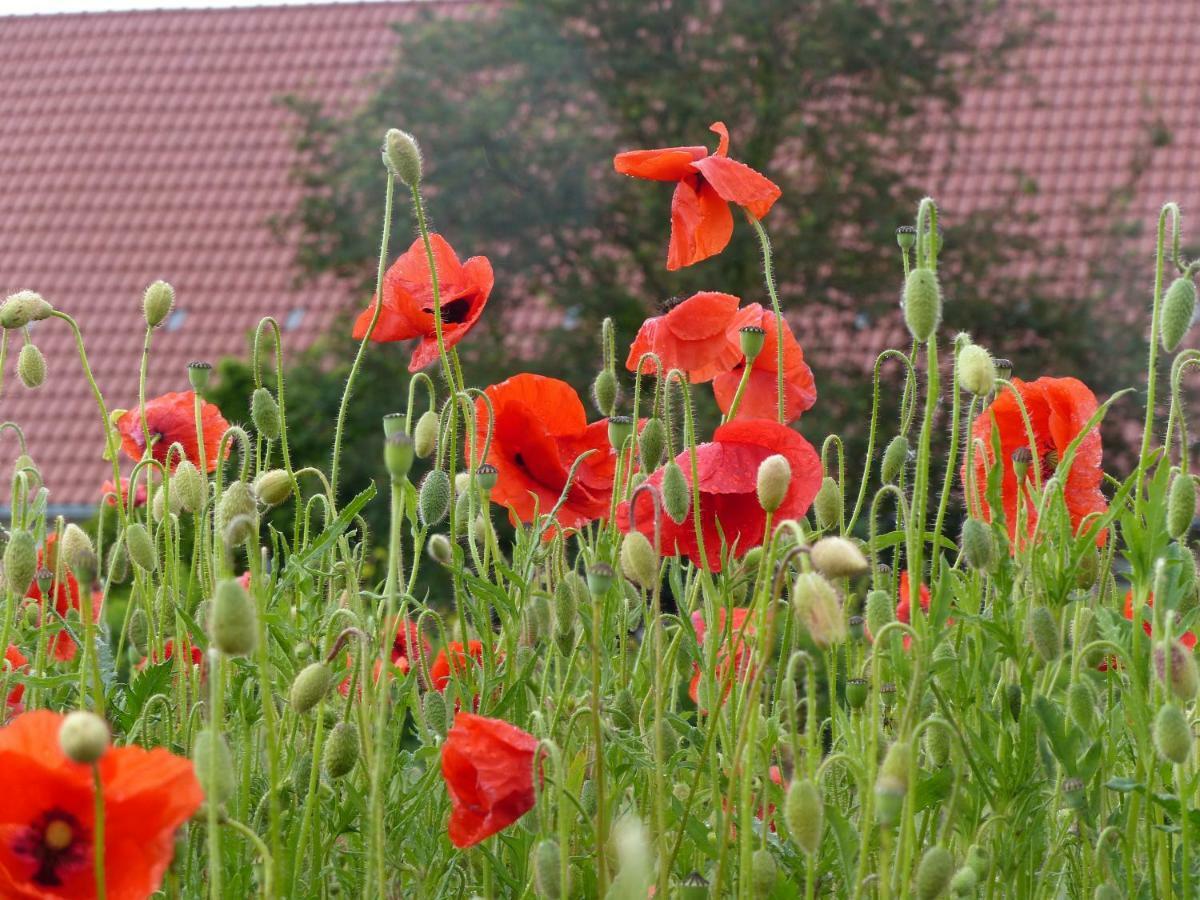 Die Gefaehrten Oberhausen  Eksteriør bilde