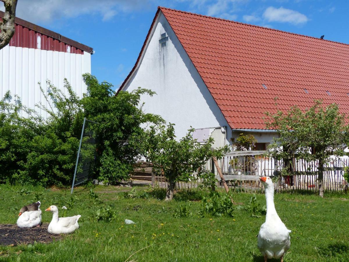 Die Gefaehrten Oberhausen  Eksteriør bilde